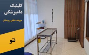 کلینیک دامپزشکی حیوانات خانگی و پرندگان نئو