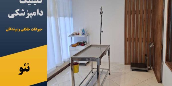 کلینیک دامپزشکی حیوانات خانگی و پرندگان نئو